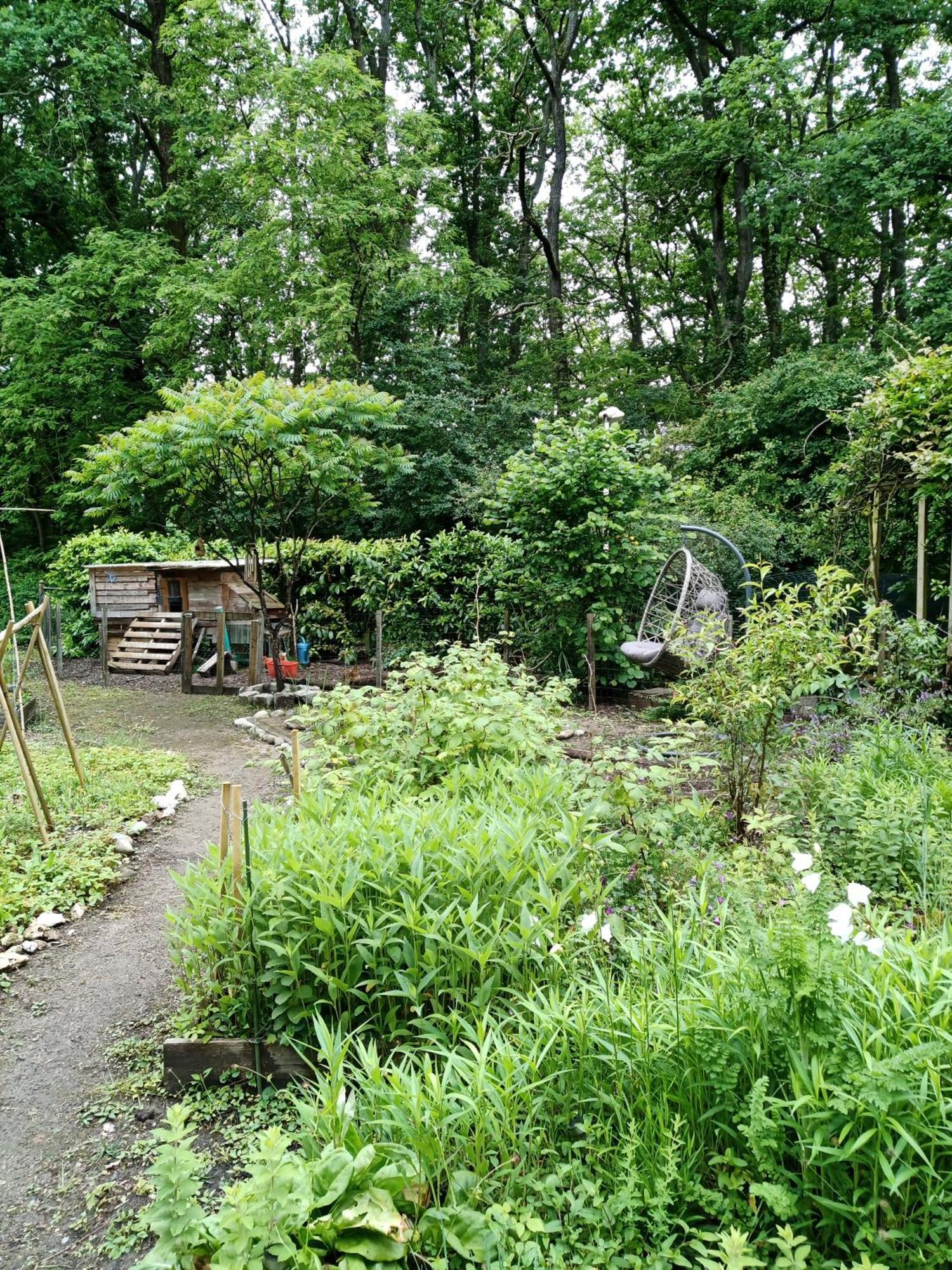 Maison Pres Des Bois Joué-lés-Tours Esterno foto